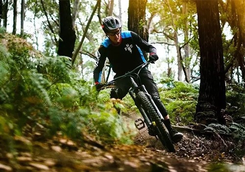 mountain bike3