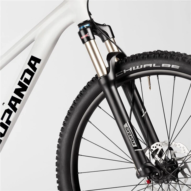 Carbon Cross Country Bike