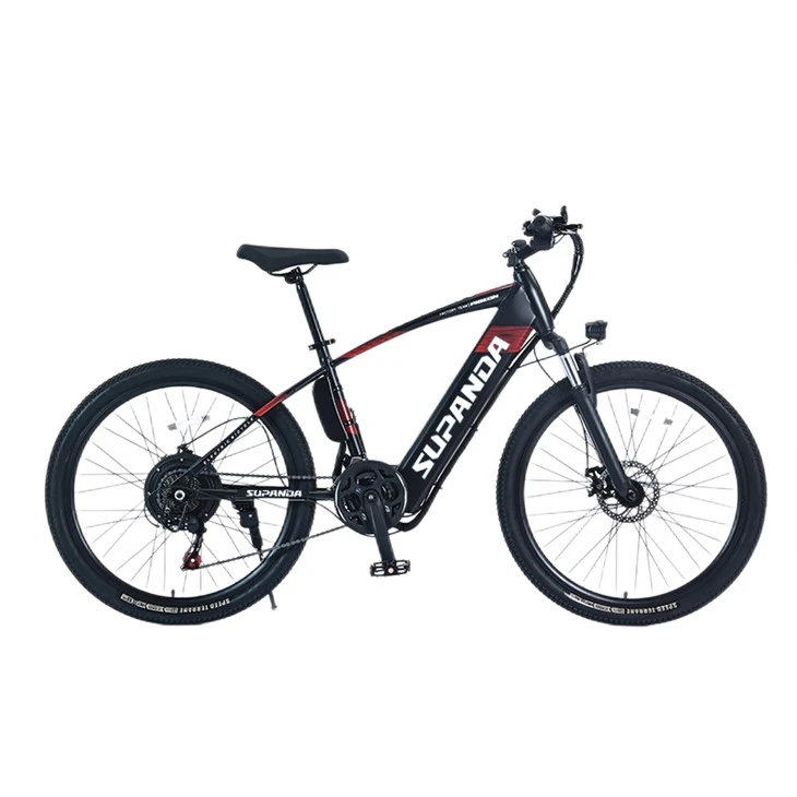 Bicicletta elettrica da montagna da uomo