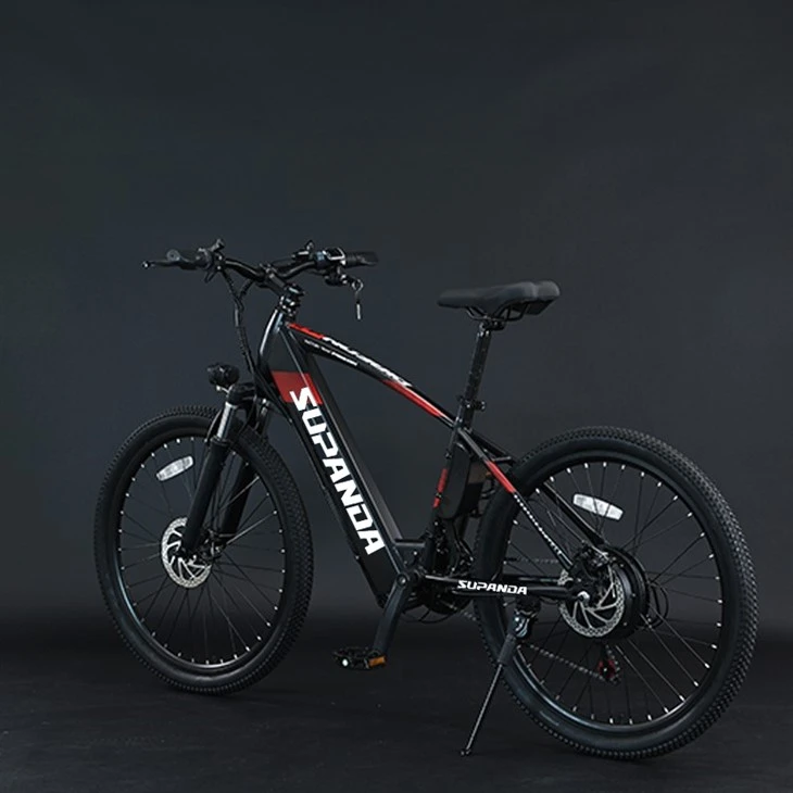 Men's Mountain Electric Bike