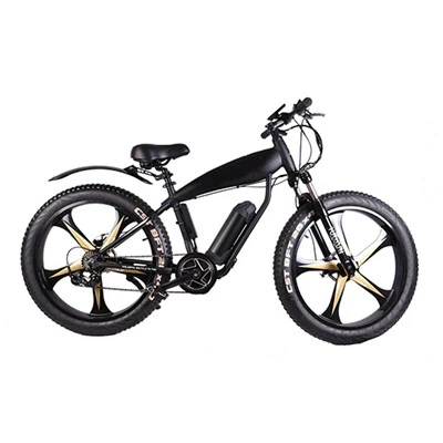 26 Mountain bike elettriche