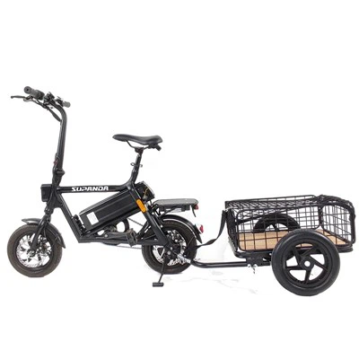 Mountain bike elettrica con pneumatici grassi