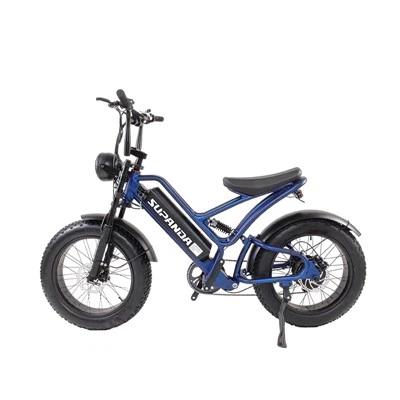 Bici elettrica Fat Tire Mountain