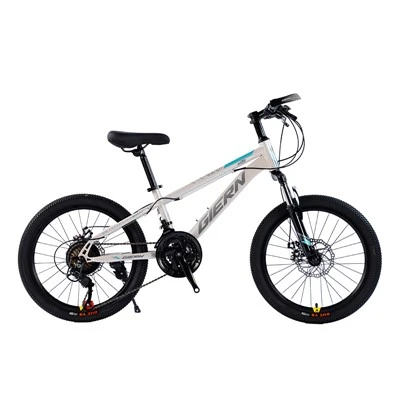 Bici da turismo hardtail