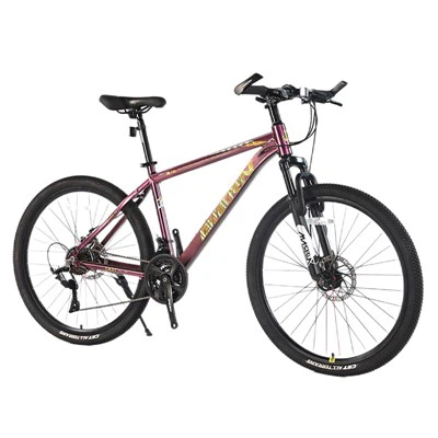 Bicicletta da montagna MTB da 26 pollici