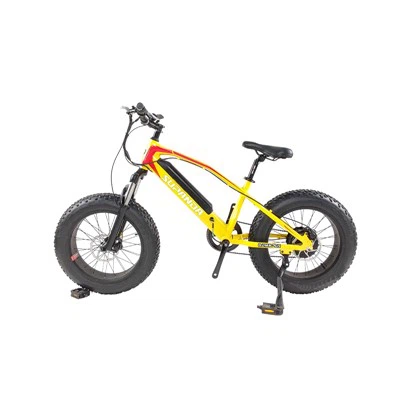 Mountain bike elettrica Xs