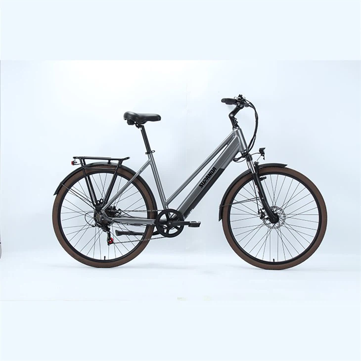 Mountain bike elettrica da città