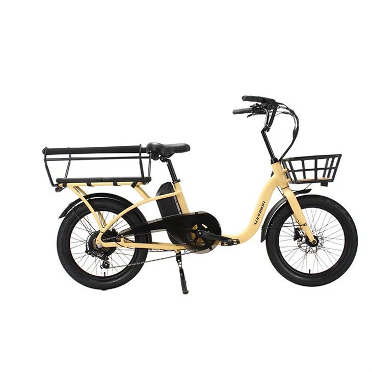 Ebike per famiglie Ebike da carico economiche
