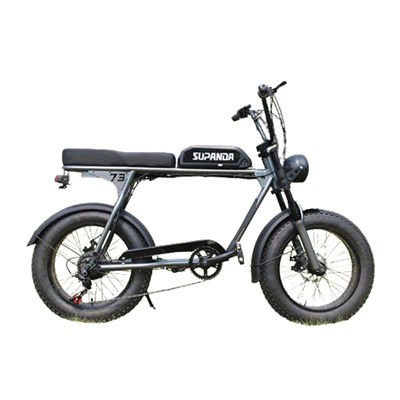 Mountain bike da 500 watt