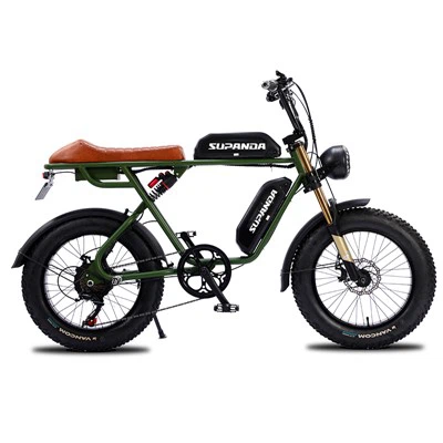 Ebike a doppio motore