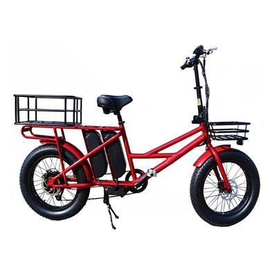 Bici elettrica per famiglia Cargo 48V 500W Ebike Cargo