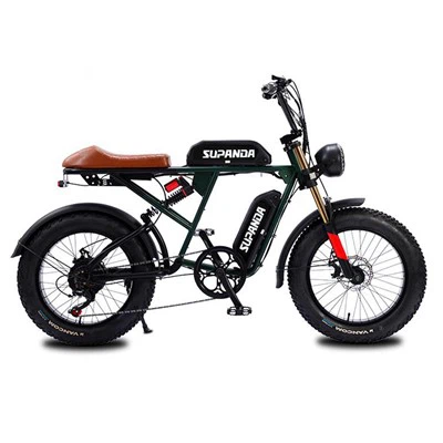 Bici elettrica con doppia batteria